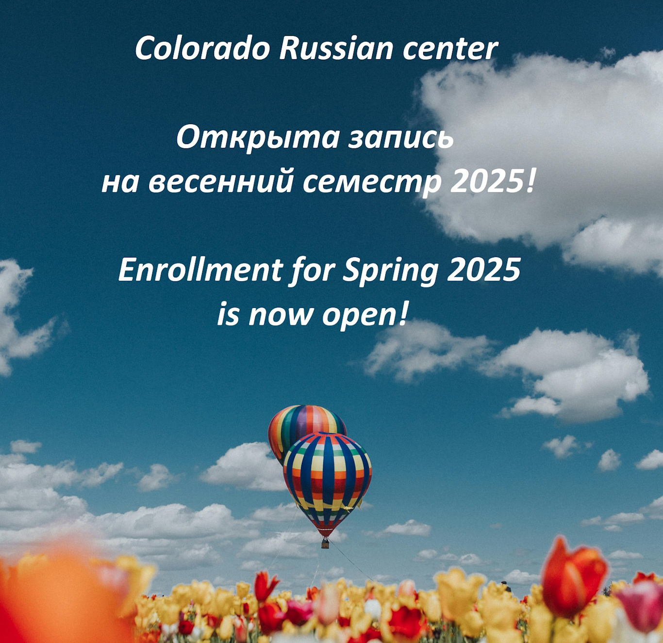 Spring 2025 Enrollment
