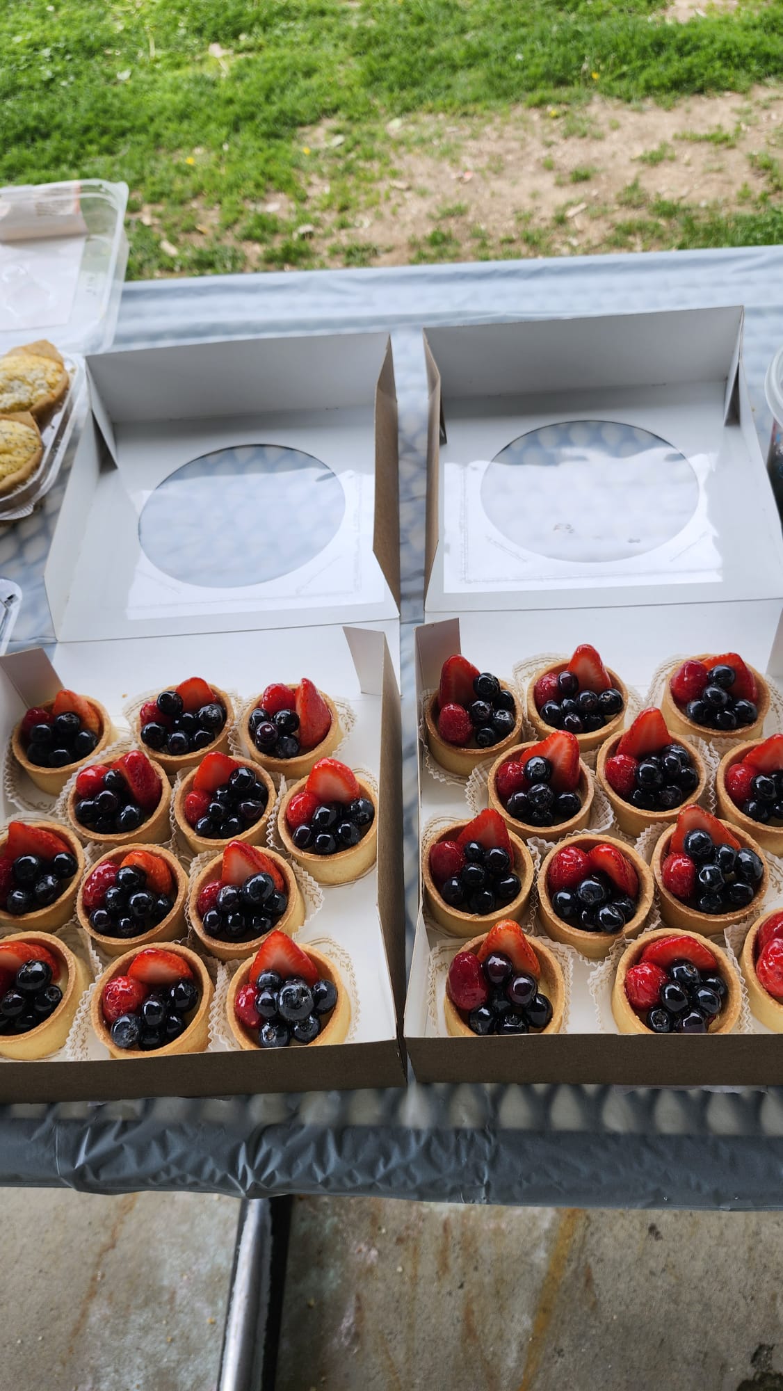 Весенний пикник 2025