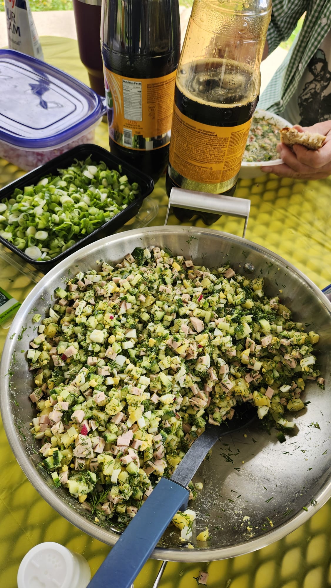 Весенний пикник 2025